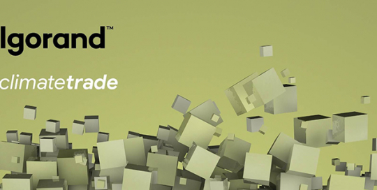 algorand-climatetrade algorand climatetrade