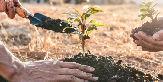 Nature-based solutions Nature-based solutions