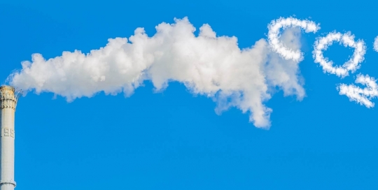 carbon credits carbon credits