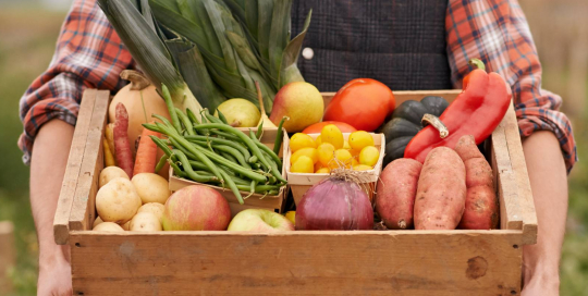 carbon farming regulation carbon farming regulation