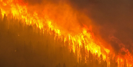 heat waves heat waves