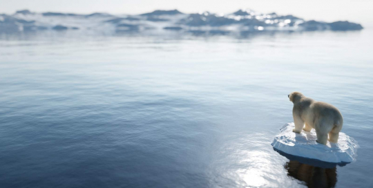 carbon footprint measurement carbon footprint measurement