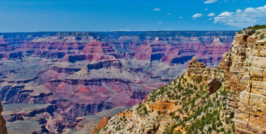 U.S. corporate decarbonization U.S. corporate decarbonization