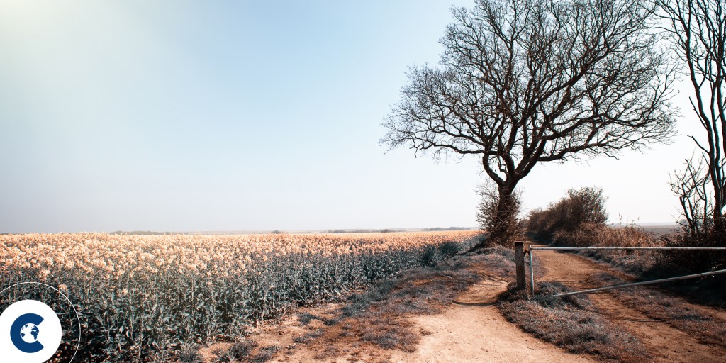 Blog-Images-2-1024×512 2024 predictions for climate and carbon markets