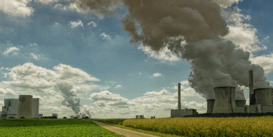 carbon credit market carbon credit market