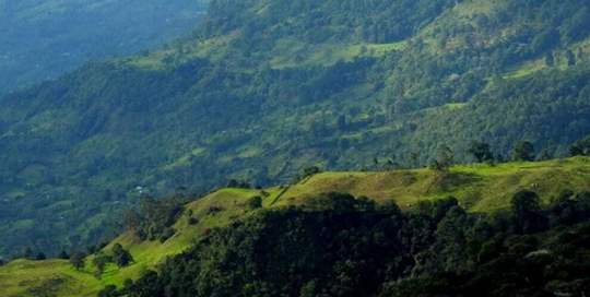 colombia-global-climate-platform Colombia registries onto its global climate platform