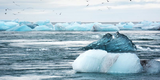 compensacion-emisiones-co2 compensación de emisiones C02