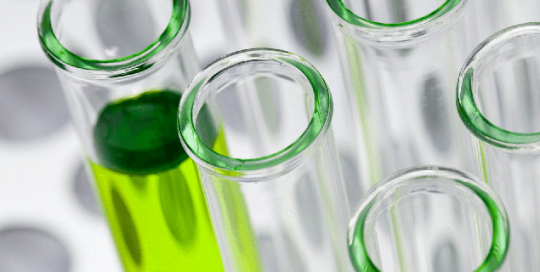 descarbonizacion descarbonizacion