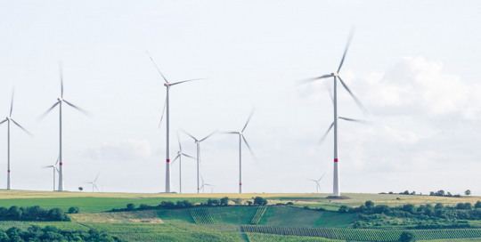 difference-zero-carbon-and-carbon-neutral difference between zero-carbon and carbon-neutral