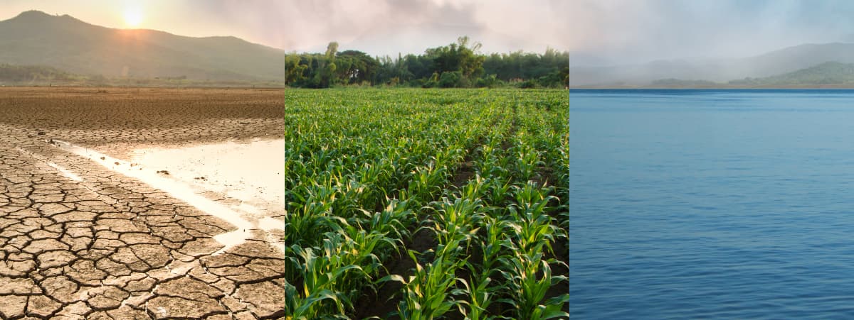 Newsletter images (4) carbon credits