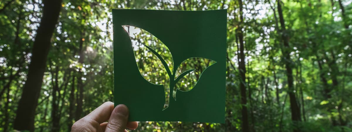 Newsletter images (6) Newsletter images (6)