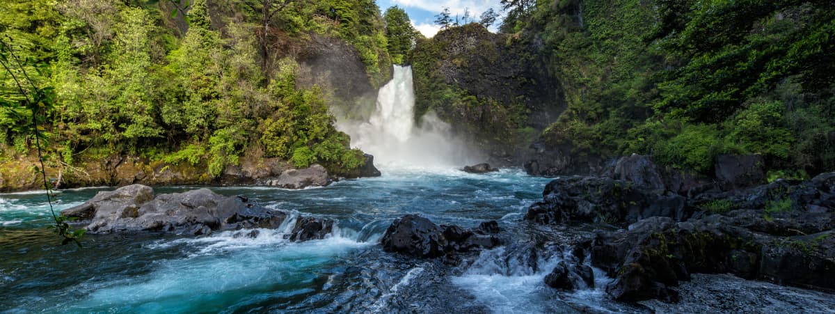 The Business Case for Biodiversity Credits: Transportation Edition The Business Case for Biodiversity Credits: Transportation Edition