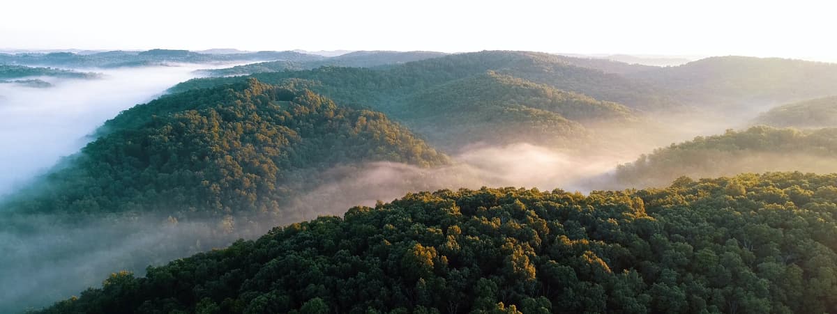 Newsletter images How Important is it to Offset Your Carbon Footprint?