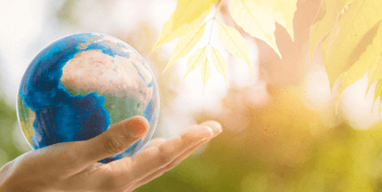 planetwatch-climatetrade PlanetWatch carbon offsetting