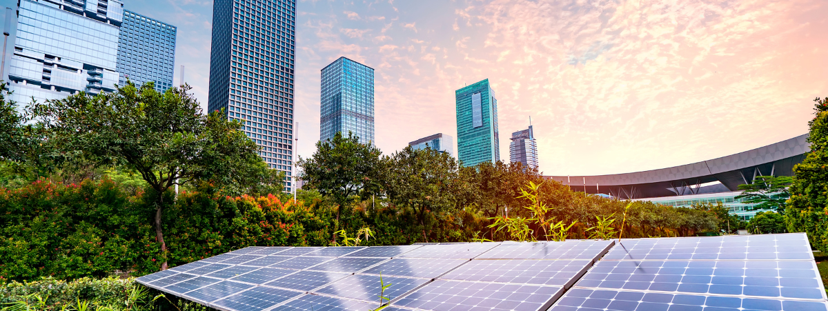 ClimateaTrade New Advisor ClimateaTrade New Advisor