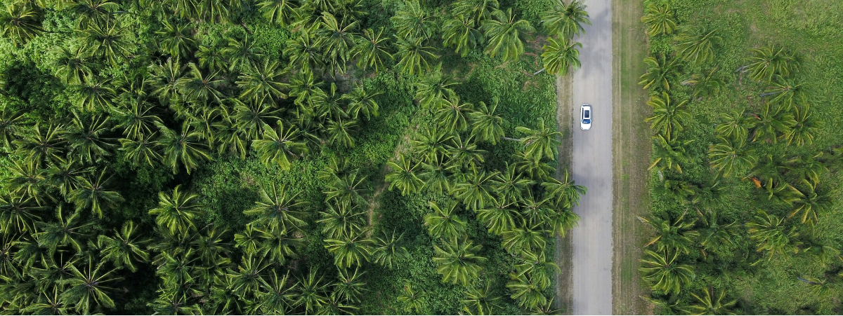 How to become a ClimateTrade affiliate and generate additional revenue How to become a ClimateTrade affiliate and generate additional revenue