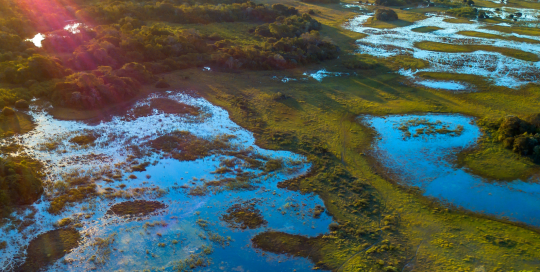 climate assets climate assets