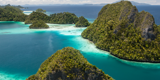 Core Carbon Principles Core Carbon Principles