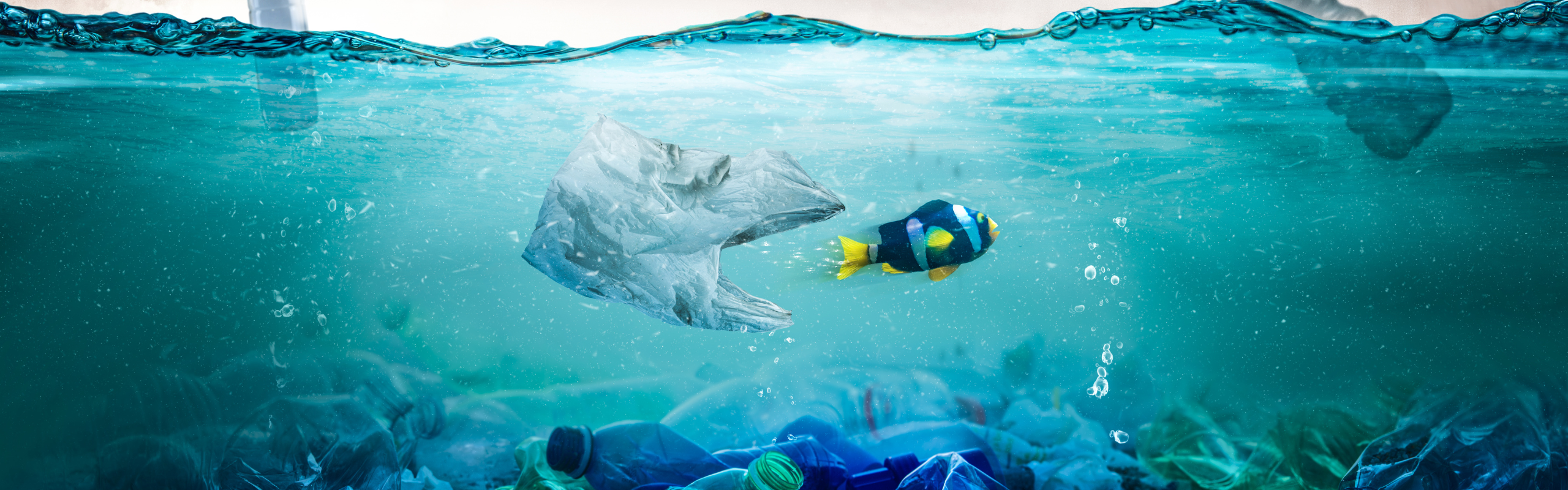 The world’s most polluting industries The world’s most polluting industries ocean plastic