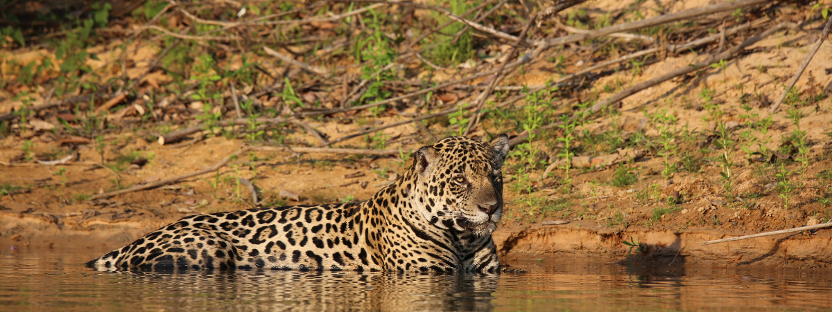 Diseño sin título (5) Diseño sin título (5)