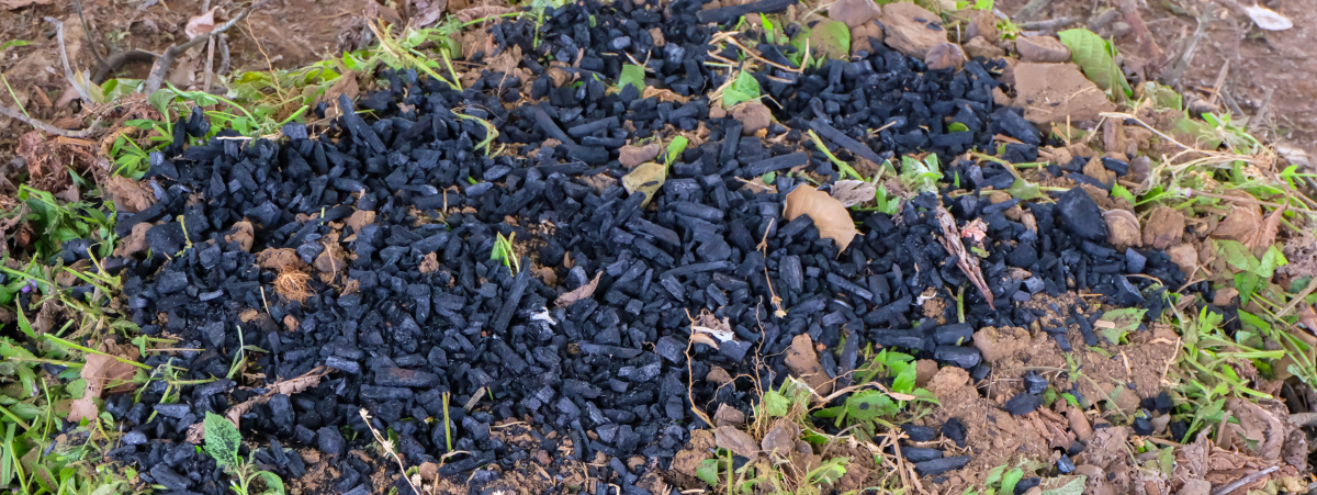 Biochar What is Biochar?