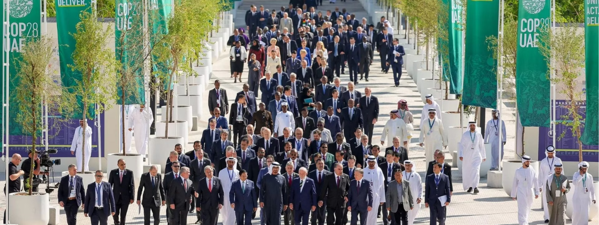 Newsletter images (5) Newsletter images (5)